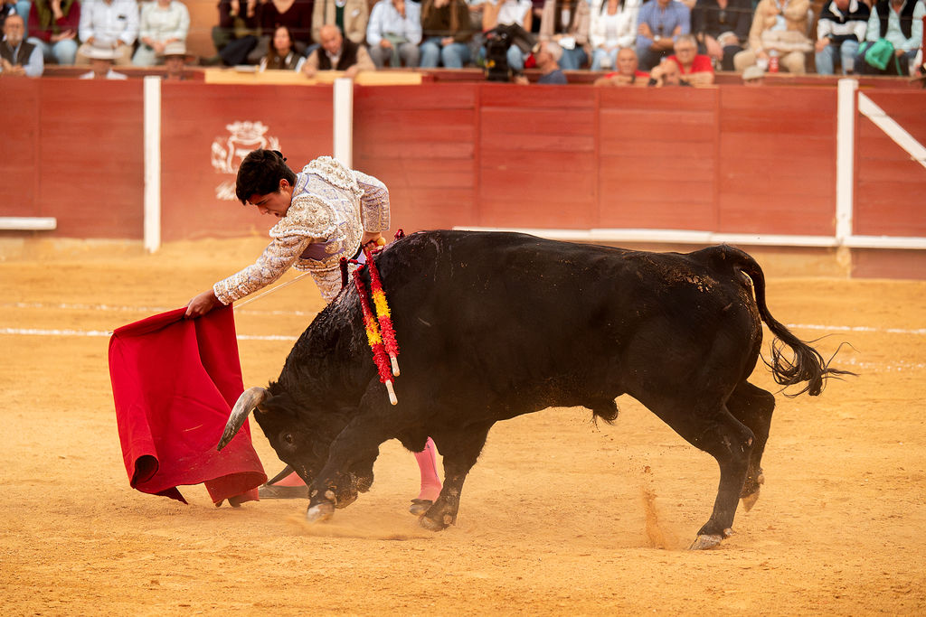 La tarde de la corrida mixta de Montoro tras el objetivo de Eugenia Godoy en la que destacó el triunfó de Manuel Quintana 14 La tarde de la corrida mixta de Montoro tras el objetivo de Eugenia Godoy en la que destacó el triunfó de Manuel Quintana El sevillano Oliva Soto demostró una vez más su torería y la personalidad que atesora ante dos oponentes totalmente a contraestilo. Con el primero del lote estuvo por momentos artista y con el segundo, un animal complicado y orientado, Alfonso hizo un esfuerzo por intentar meter en la muleta a un animal que no puso las cosas fáciles.