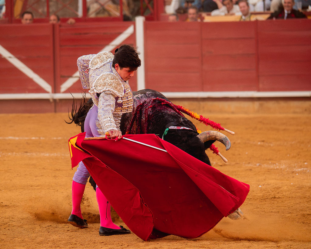 La tarde de la corrida mixta de Montoro tras el objetivo de Eugenia Godoy en la que destacó el triunfó de Manuel Quintana 15 La tarde de la corrida mixta de Montoro tras el objetivo de Eugenia Godoy en la que destacó el triunfó de Manuel Quintana El sevillano Oliva Soto demostró una vez más su torería y la personalidad que atesora ante dos oponentes totalmente a contraestilo. Con el primero del lote estuvo por momentos artista y con el segundo, un animal complicado y orientado, Alfonso hizo un esfuerzo por intentar meter en la muleta a un animal que no puso las cosas fáciles.