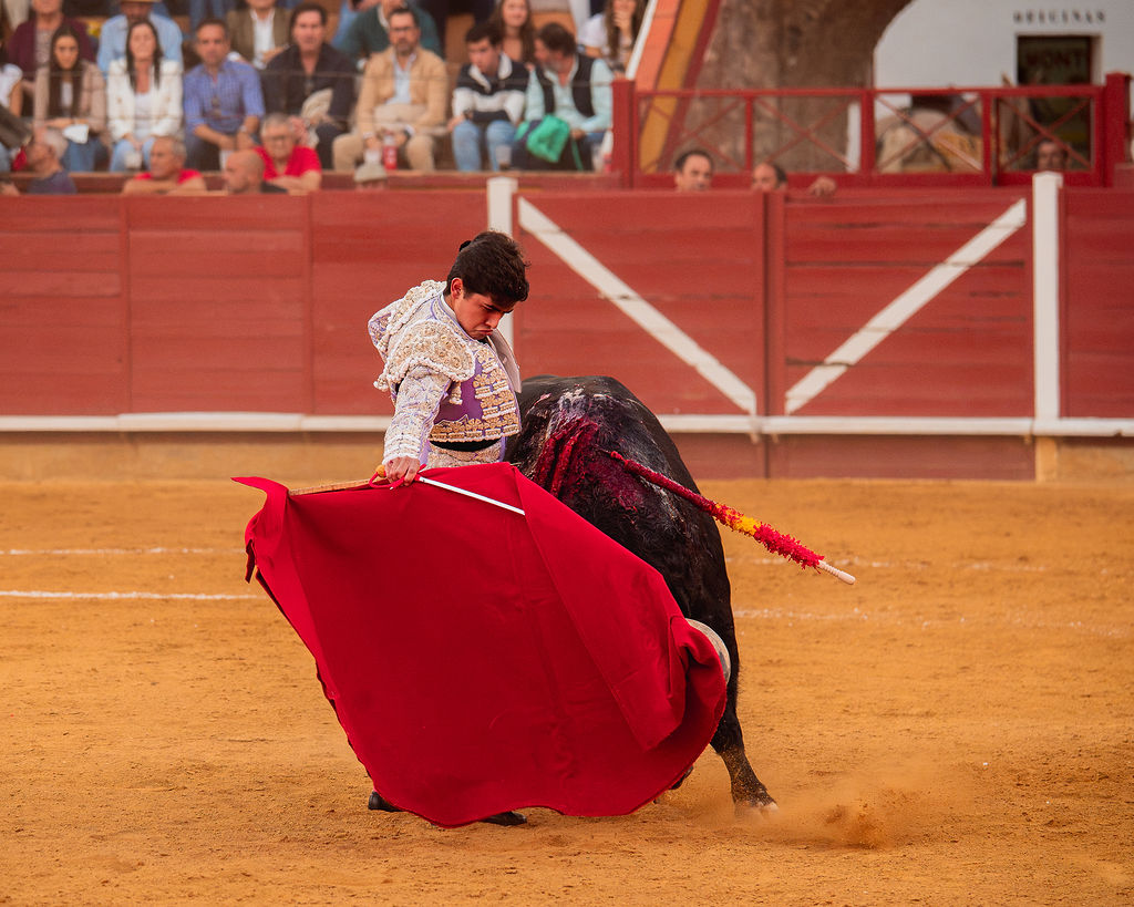 La tarde de la corrida mixta de Montoro tras el objetivo de Eugenia Godoy en la que destacó el triunfó de Manuel Quintana 16 La tarde de la corrida mixta de Montoro tras el objetivo de Eugenia Godoy en la que destacó el triunfó de Manuel Quintana El sevillano Oliva Soto demostró una vez más su torería y la personalidad que atesora ante dos oponentes totalmente a contraestilo. Con el primero del lote estuvo por momentos artista y con el segundo, un animal complicado y orientado, Alfonso hizo un esfuerzo por intentar meter en la muleta a un animal que no puso las cosas fáciles.