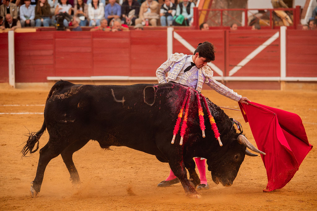 La tarde de la corrida mixta de Montoro tras el objetivo de Eugenia Godoy en la que destacó el triunfó de Manuel Quintana 17 La tarde de la corrida mixta de Montoro tras el objetivo de Eugenia Godoy en la que destacó el triunfó de Manuel Quintana El sevillano Oliva Soto demostró una vez más su torería y la personalidad que atesora ante dos oponentes totalmente a contraestilo. Con el primero del lote estuvo por momentos artista y con el segundo, un animal complicado y orientado, Alfonso hizo un esfuerzo por intentar meter en la muleta a un animal que no puso las cosas fáciles.