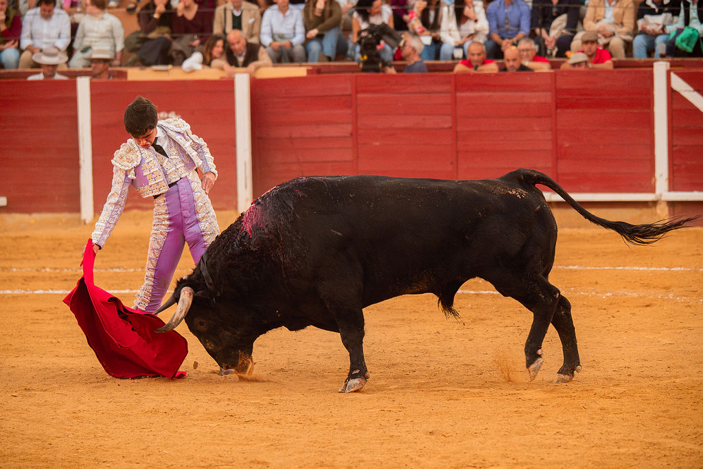 La tarde de la corrida mixta de Montoro tras el objetivo de Eugenia Godoy en la que destacó el triunfó de Manuel Quintana 18 La tarde de la corrida mixta de Montoro tras el objetivo de Eugenia Godoy en la que destacó el triunfó de Manuel Quintana El sevillano Oliva Soto demostró una vez más su torería y la personalidad que atesora ante dos oponentes totalmente a contraestilo. Con el primero del lote estuvo por momentos artista y con el segundo, un animal complicado y orientado, Alfonso hizo un esfuerzo por intentar meter en la muleta a un animal que no puso las cosas fáciles.