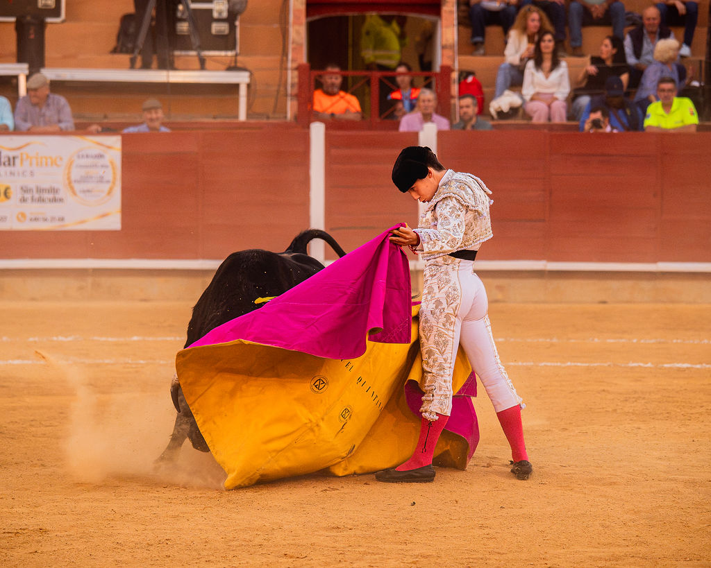 La tarde de la corrida mixta de Montoro tras el objetivo de Eugenia Godoy en la que destacó el triunfó de Manuel Quintana 19 La tarde de la corrida mixta de Montoro tras el objetivo de Eugenia Godoy en la que destacó el triunfó de Manuel Quintana El sevillano Oliva Soto demostró una vez más su torería y la personalidad que atesora ante dos oponentes totalmente a contraestilo. Con el primero del lote estuvo por momentos artista y con el segundo, un animal complicado y orientado, Alfonso hizo un esfuerzo por intentar meter en la muleta a un animal que no puso las cosas fáciles.