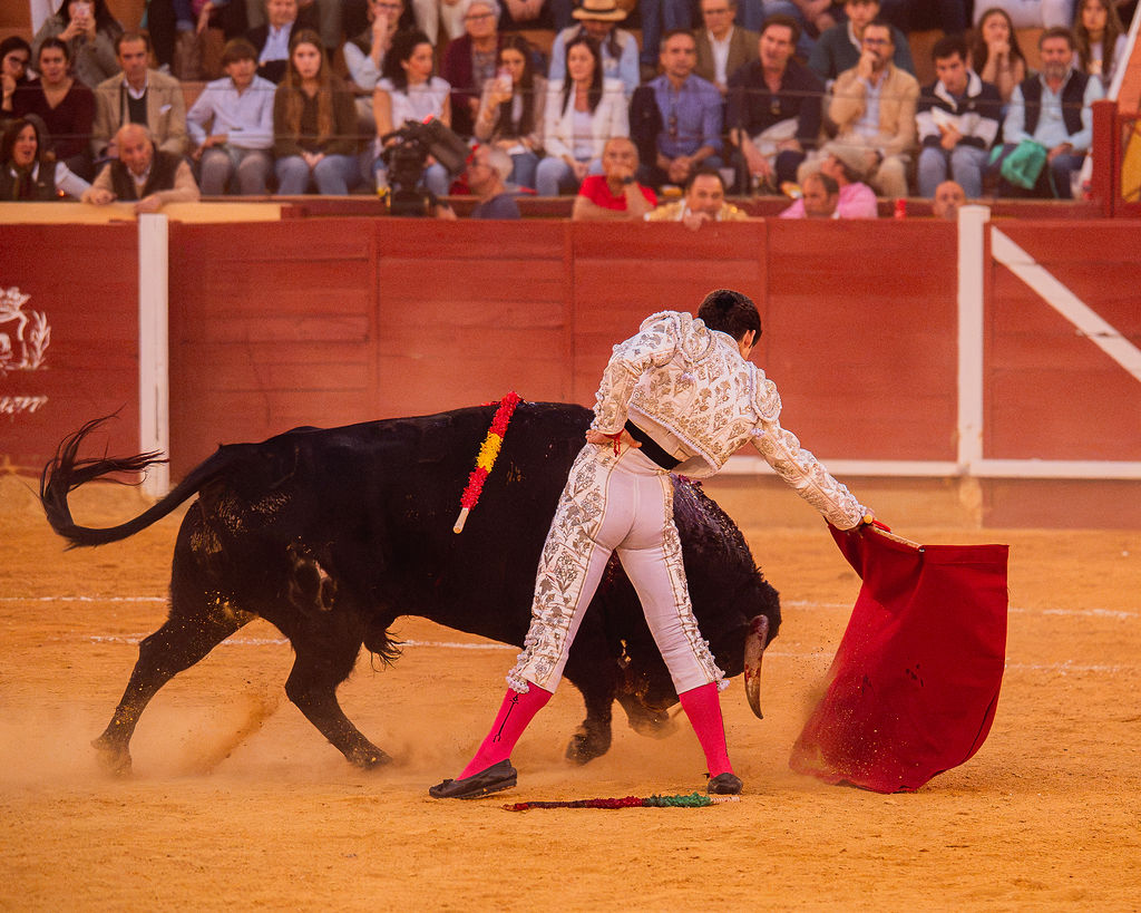 La tarde de la corrida mixta de Montoro tras el objetivo de Eugenia Godoy en la que destacó el triunfó de Manuel Quintana 20 La tarde de la corrida mixta de Montoro tras el objetivo de Eugenia Godoy en la que destacó el triunfó de Manuel Quintana El sevillano Oliva Soto demostró una vez más su torería y la personalidad que atesora ante dos oponentes totalmente a contraestilo. Con el primero del lote estuvo por momentos artista y con el segundo, un animal complicado y orientado, Alfonso hizo un esfuerzo por intentar meter en la muleta a un animal que no puso las cosas fáciles.