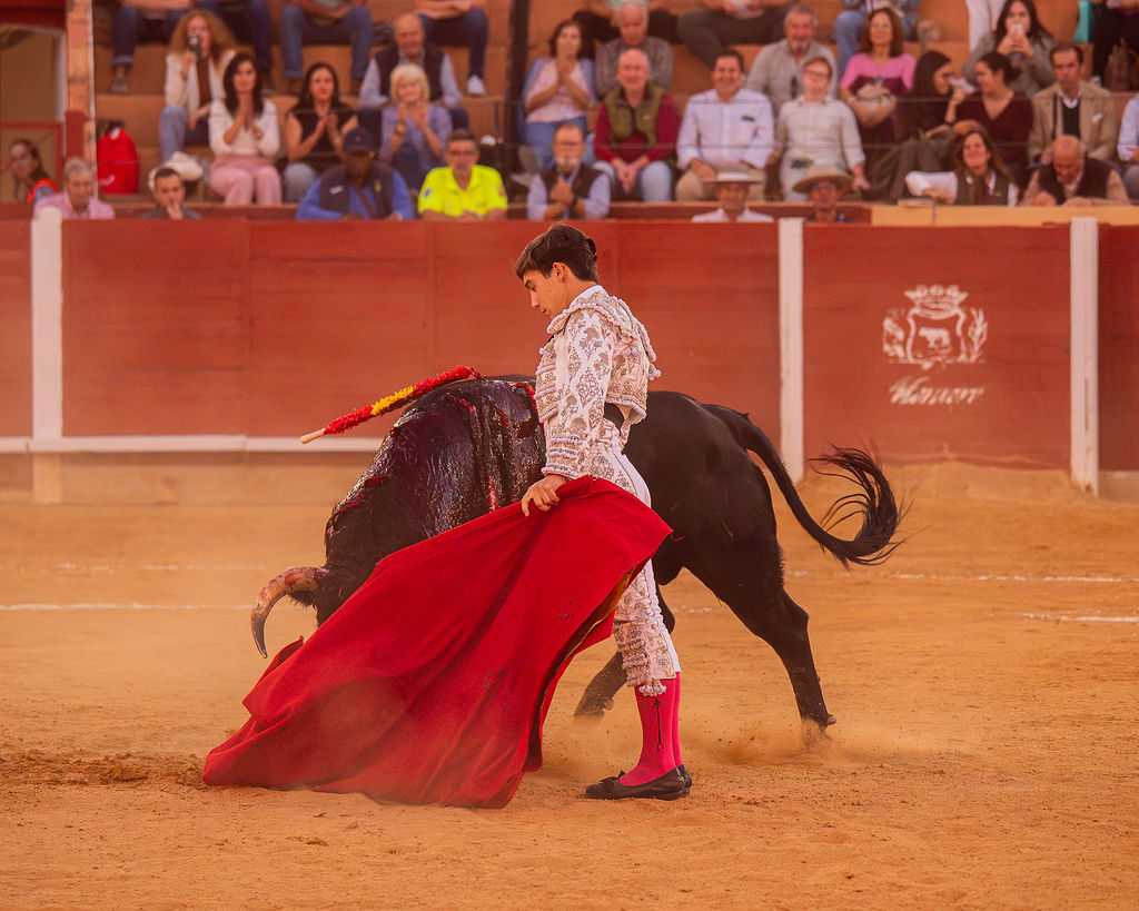 La tarde de la corrida mixta de Montoro tras el objetivo de Eugenia Godoy en la que destacó el triunfó de Manuel Quintana 21 La tarde de la corrida mixta de Montoro tras el objetivo de Eugenia Godoy en la que destacó el triunfó de Manuel Quintana El sevillano Oliva Soto demostró una vez más su torería y la personalidad que atesora ante dos oponentes totalmente a contraestilo. Con el primero del lote estuvo por momentos artista y con el segundo, un animal complicado y orientado, Alfonso hizo un esfuerzo por intentar meter en la muleta a un animal que no puso las cosas fáciles.