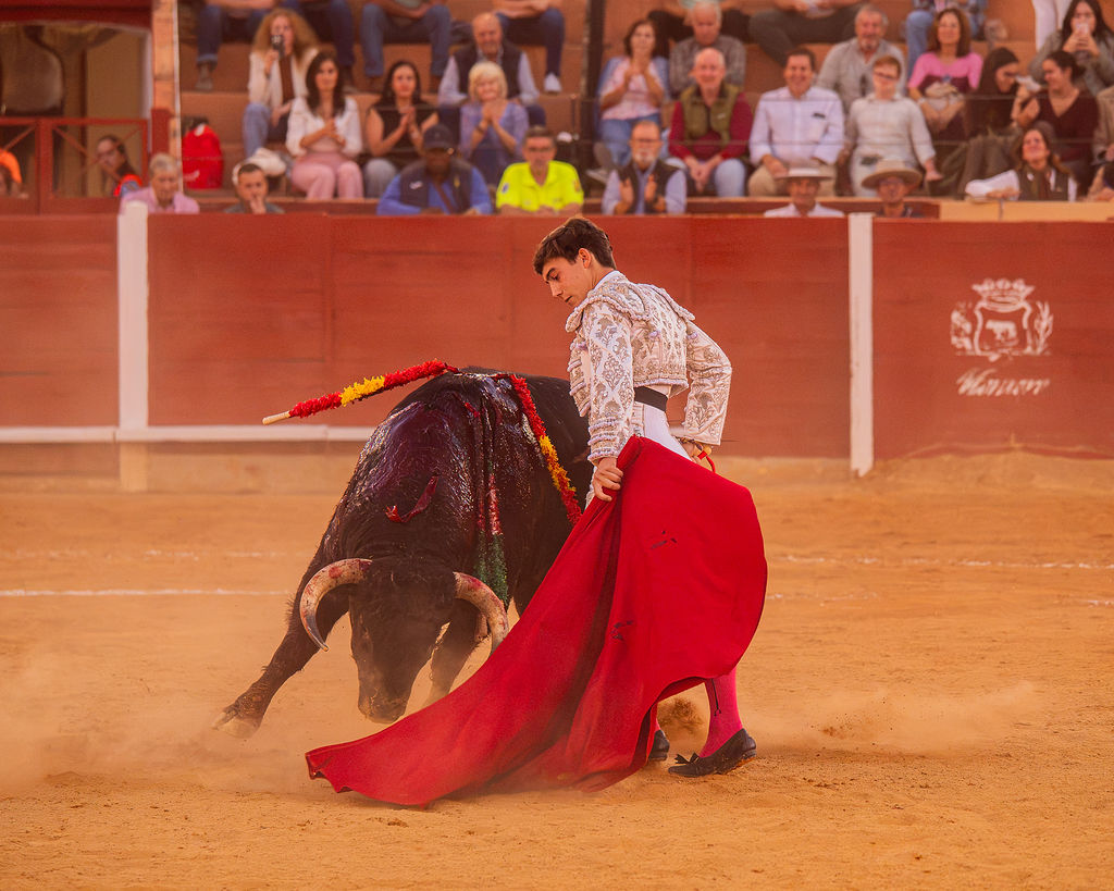 La tarde de la corrida mixta de Montoro tras el objetivo de Eugenia Godoy en la que destacó el triunfó de Manuel Quintana 22 La tarde de la corrida mixta de Montoro tras el objetivo de Eugenia Godoy en la que destacó el triunfó de Manuel Quintana El sevillano Oliva Soto demostró una vez más su torería y la personalidad que atesora ante dos oponentes totalmente a contraestilo. Con el primero del lote estuvo por momentos artista y con el segundo, un animal complicado y orientado, Alfonso hizo un esfuerzo por intentar meter en la muleta a un animal que no puso las cosas fáciles.