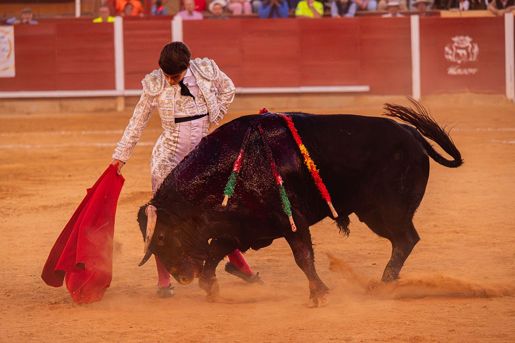 La tarde de la corrida mixta de Montoro tras el objetivo de Eugenia Godoy en la que destacó el triunfó de Manuel Quintana