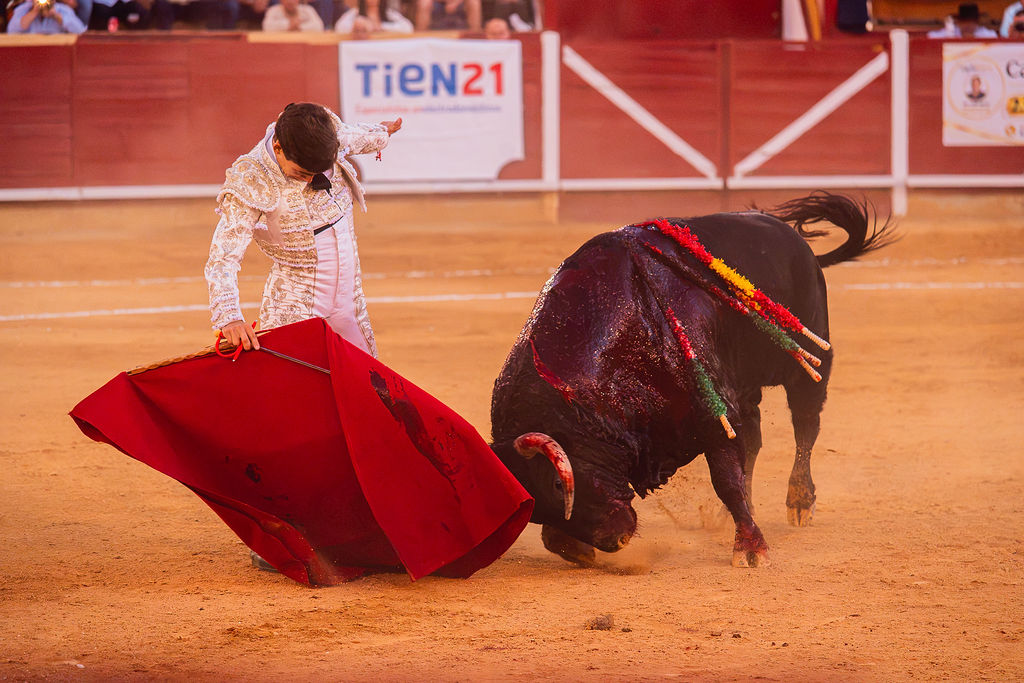 La tarde de la corrida mixta de Montoro tras el objetivo de Eugenia Godoy en la que destacó el triunfó de Manuel Quintana 25 La tarde de la corrida mixta de Montoro tras el objetivo de Eugenia Godoy en la que destacó el triunfó de Manuel Quintana El sevillano Oliva Soto demostró una vez más su torería y la personalidad que atesora ante dos oponentes totalmente a contraestilo. Con el primero del lote estuvo por momentos artista y con el segundo, un animal complicado y orientado, Alfonso hizo un esfuerzo por intentar meter en la muleta a un animal que no puso las cosas fáciles.