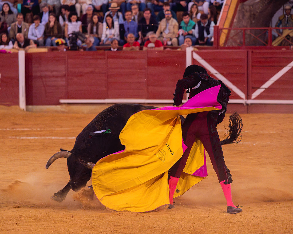 La tarde de la corrida mixta de Montoro tras el objetivo de Eugenia Godoy en la que destacó el triunfó de Manuel Quintana 27 La tarde de la corrida mixta de Montoro tras el objetivo de Eugenia Godoy en la que destacó el triunfó de Manuel Quintana El sevillano Oliva Soto demostró una vez más su torería y la personalidad que atesora ante dos oponentes totalmente a contraestilo. Con el primero del lote estuvo por momentos artista y con el segundo, un animal complicado y orientado, Alfonso hizo un esfuerzo por intentar meter en la muleta a un animal que no puso las cosas fáciles.
