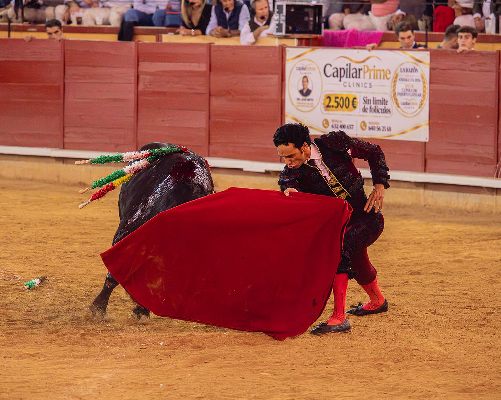 La tarde de la corrida mixta de Montoro tras el objetivo de Eugenia Godoy en la que destacó el triunfó de Manuel Quintana 28 La tarde de la corrida mixta de Montoro tras el objetivo de Eugenia Godoy en la que destacó el triunfó de Manuel Quintana El sevillano Oliva Soto demostró una vez más su torería y la personalidad que atesora ante dos oponentes totalmente a contraestilo. Con el primero del lote estuvo por momentos artista y con el segundo, un animal complicado y orientado, Alfonso hizo un esfuerzo por intentar meter en la muleta a un animal que no puso las cosas fáciles.