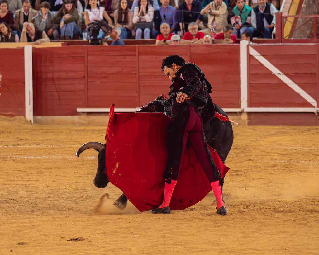 La tarde de la corrida mixta de Montoro tras el objetivo de Eugenia Godoy en la que destacó el triunfó de Manuel Quintana 29 La tarde de la corrida mixta de Montoro tras el objetivo de Eugenia Godoy en la que destacó el triunfó de Manuel Quintana El sevillano Oliva Soto demostró una vez más su torería y la personalidad que atesora ante dos oponentes totalmente a contraestilo. Con el primero del lote estuvo por momentos artista y con el segundo, un animal complicado y orientado, Alfonso hizo un esfuerzo por intentar meter en la muleta a un animal que no puso las cosas fáciles.