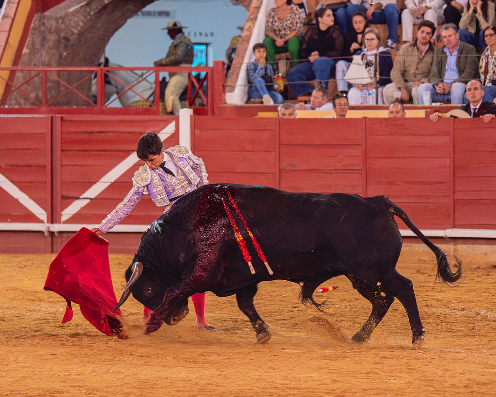 La tarde de la corrida mixta de Montoro tras el objetivo de Eugenia Godoy en la que destacó el triunfó de Manuel Quintana 30 La tarde de la corrida mixta de Montoro tras el objetivo de Eugenia Godoy en la que destacó el triunfó de Manuel Quintana El sevillano Oliva Soto demostró una vez más su torería y la personalidad que atesora ante dos oponentes totalmente a contraestilo. Con el primero del lote estuvo por momentos artista y con el segundo, un animal complicado y orientado, Alfonso hizo un esfuerzo por intentar meter en la muleta a un animal que no puso las cosas fáciles.