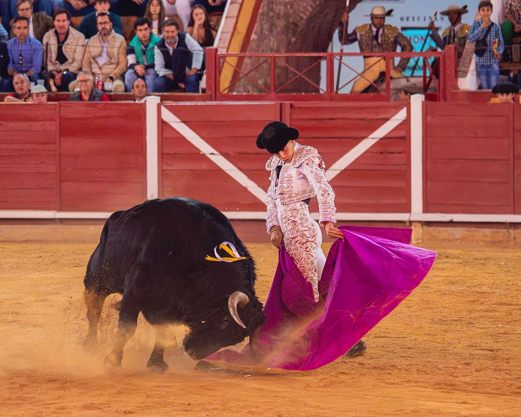 La tarde de la corrida mixta de Montoro tras el objetivo de Eugenia Godoy en la que destacó el triunfó de Manuel Quintana 31 La tarde de la corrida mixta de Montoro tras el objetivo de Eugenia Godoy en la que destacó el triunfó de Manuel Quintana El sevillano Oliva Soto demostró una vez más su torería y la personalidad que atesora ante dos oponentes totalmente a contraestilo. Con el primero del lote estuvo por momentos artista y con el segundo, un animal complicado y orientado, Alfonso hizo un esfuerzo por intentar meter en la muleta a un animal que no puso las cosas fáciles.