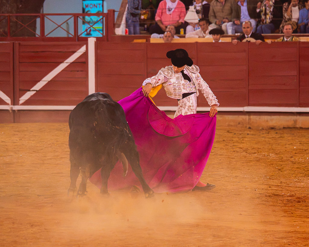 La tarde de la corrida mixta de Montoro tras el objetivo de Eugenia Godoy en la que destacó el triunfó de Manuel Quintana 32 La tarde de la corrida mixta de Montoro tras el objetivo de Eugenia Godoy en la que destacó el triunfó de Manuel Quintana El sevillano Oliva Soto demostró una vez más su torería y la personalidad que atesora ante dos oponentes totalmente a contraestilo. Con el primero del lote estuvo por momentos artista y con el segundo, un animal complicado y orientado, Alfonso hizo un esfuerzo por intentar meter en la muleta a un animal que no puso las cosas fáciles.