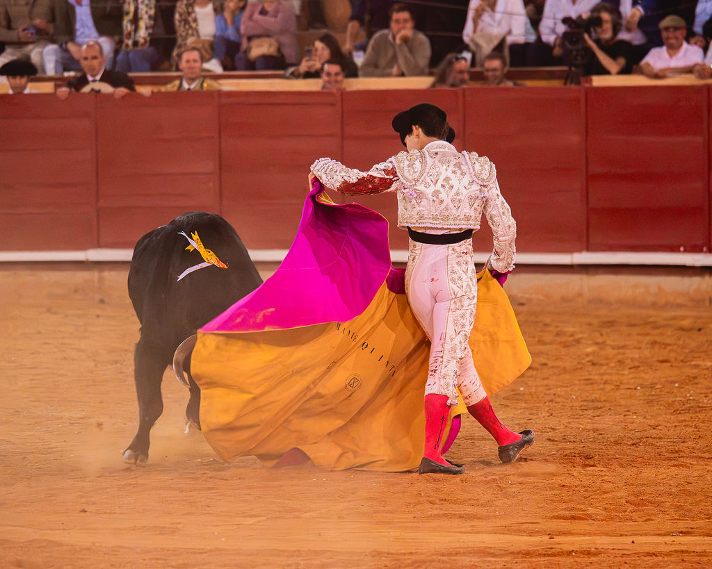 La tarde de la corrida mixta de Montoro tras el objetivo de Eugenia Godoy en la que destacó el triunfó de Manuel Quintana 33 La tarde de la corrida mixta de Montoro tras el objetivo de Eugenia Godoy en la que destacó el triunfó de Manuel Quintana El sevillano Oliva Soto demostró una vez más su torería y la personalidad que atesora ante dos oponentes totalmente a contraestilo. Con el primero del lote estuvo por momentos artista y con el segundo, un animal complicado y orientado, Alfonso hizo un esfuerzo por intentar meter en la muleta a un animal que no puso las cosas fáciles.