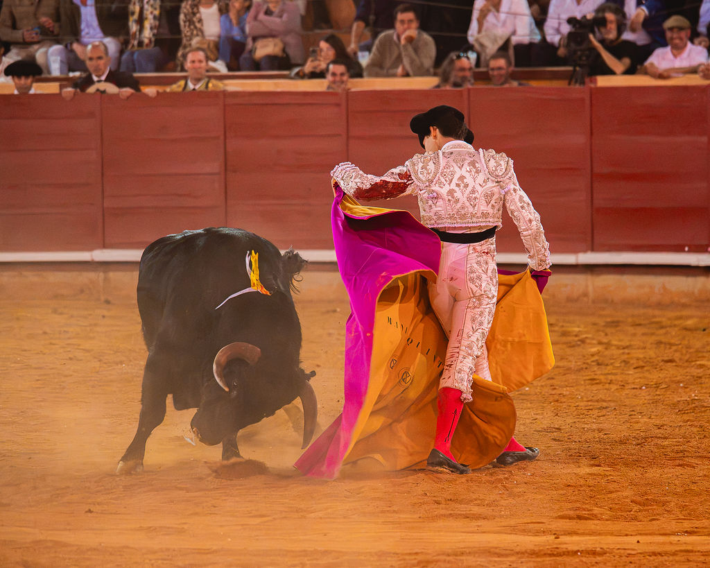 La tarde de la corrida mixta de Montoro tras el objetivo de Eugenia Godoy en la que destacó el triunfó de Manuel Quintana 34 La tarde de la corrida mixta de Montoro tras el objetivo de Eugenia Godoy en la que destacó el triunfó de Manuel Quintana El sevillano Oliva Soto demostró una vez más su torería y la personalidad que atesora ante dos oponentes totalmente a contraestilo. Con el primero del lote estuvo por momentos artista y con el segundo, un animal complicado y orientado, Alfonso hizo un esfuerzo por intentar meter en la muleta a un animal que no puso las cosas fáciles.
