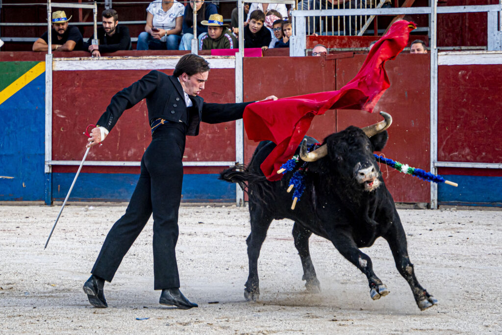 Oliva Soto firma una tarde de pureza, entrega y triunfo rotundo con tres orejas y rabo en Darro 1 Oliva Soto firma una tarde de pureza, entrega y triunfo rotundo con tres orejas y rabo en Darro El diestro Oliva Soto desplegó su concepto de pureza y duende de principio a fin. Ya con el capote dejó muestra de su personalísimo sello, firmando una actuación de absoluta firmeza. Con la muleta cuajó una faena muy redonda y de gran hondura con reses de "La Condesa"; el trastejo marchaba directo al triunfo rotundo, pero un incidente inoportuno en los tendidos enfrió la petición, quedando el balance final en una oreja.