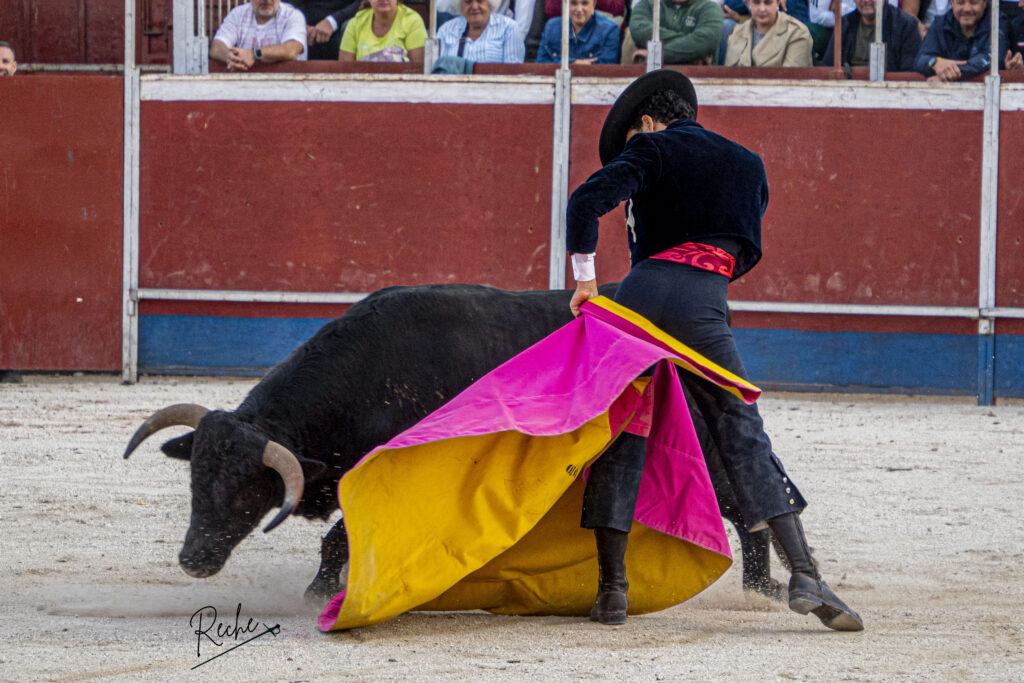 Oliva Soto firma una tarde de pureza, entrega y triunfo rotundo con tres orejas y rabo en Darro 3 Oliva Soto firma una tarde de pureza, entrega y triunfo rotundo con tres orejas y rabo en Darro El diestro Oliva Soto desplegó su concepto de pureza y duende de principio a fin. Ya con el capote dejó muestra de su personalísimo sello, firmando una actuación de absoluta firmeza. Con la muleta cuajó una faena muy redonda y de gran hondura con reses de "La Condesa"; el trastejo marchaba directo al triunfo rotundo, pero un incidente inoportuno en los tendidos enfrió la petición, quedando el balance final en una oreja.