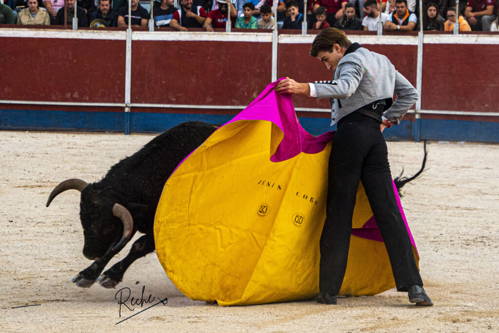 Oliva Soto firma una tarde de pureza, entrega y triunfo rotundo con tres orejas y rabo en Darro 4 Oliva Soto firma una tarde de pureza, entrega y triunfo rotundo con tres orejas y rabo en Darro El diestro Oliva Soto desplegó su concepto de pureza y duende de principio a fin. Ya con el capote dejó muestra de su personalísimo sello, firmando una actuación de absoluta firmeza. Con la muleta cuajó una faena muy redonda y de gran hondura con reses de "La Condesa"; el trastejo marchaba directo al triunfo rotundo, pero un incidente inoportuno en los tendidos enfrió la petición, quedando el balance final en una oreja.