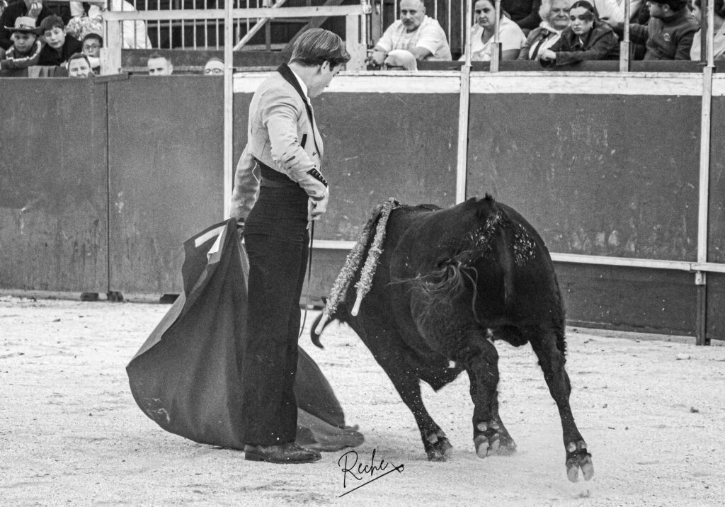 Oliva Soto firma una tarde de pureza, entrega y triunfo rotundo con tres orejas y rabo en Darro 2 Oliva Soto firma una tarde de pureza, entrega y triunfo rotundo con tres orejas y rabo en Darro El diestro Oliva Soto desplegó su concepto de pureza y duende de principio a fin. Ya con el capote dejó muestra de su personalísimo sello, firmando una actuación de absoluta firmeza. Con la muleta cuajó una faena muy redonda y de gran hondura con reses de "La Condesa"; el trastejo marchaba directo al triunfo rotundo, pero un incidente inoportuno en los tendidos enfrió la petición, quedando el balance final en una oreja.