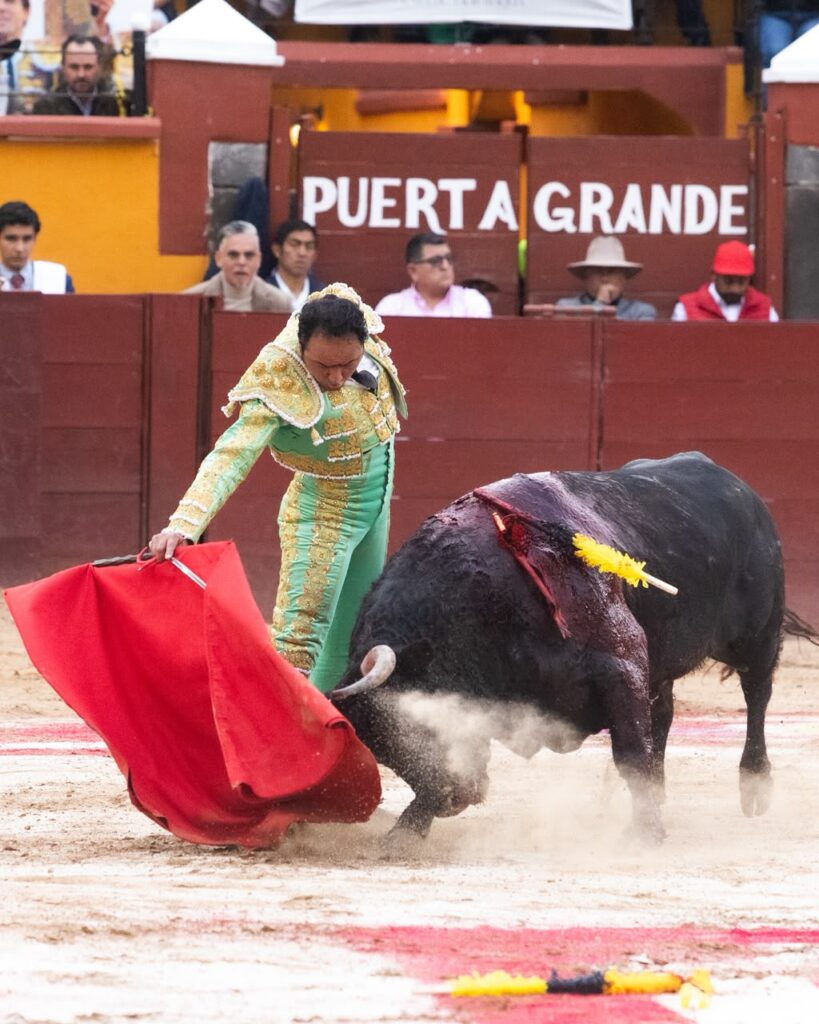 Despedida de José Luis Angelino con triunfo y corte de tres orejas en Tlaxcala (México) Celebrada ante un lleno en la plaza Jorge “El Ranchero” Aguilar. El diestro de Apizaco rubricó el último capítulo de su trayectoria como matador de toros con el corte de tres orejas y una salida a hombros, tras una tarde en la que conjugó oficio, inspiración y una entrega que encontró su mayor expresión frente a “Pulques”, de Las Huertas.