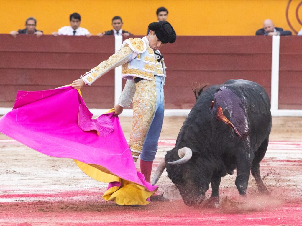 Despedida de José Luis Angelino con triunfo y corte de tres orejas en Tlaxcala (México) Celebrada ante un lleno en la plaza Jorge “El Ranchero” Aguilar. El diestro de Apizaco rubricó el último capítulo de su trayectoria como matador de toros con el corte de tres orejas y una salida a hombros, tras una tarde en la que conjugó oficio, inspiración y una entrega que encontró su mayor expresión frente a “Pulques”, de Las Huertas.