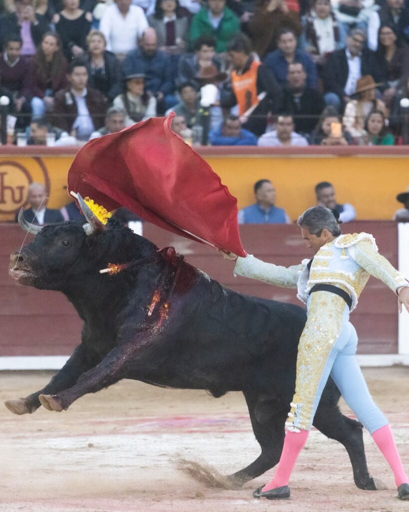Despedida de José Luis Angelino con triunfo y corte de tres orejas en Tlaxcala (México) Celebrada ante un lleno en la plaza Jorge “El Ranchero” Aguilar. El diestro de Apizaco rubricó el último capítulo de su trayectoria como matador de toros con el corte de tres orejas y una salida a hombros, tras una tarde en la que conjugó oficio, inspiración y una entrega que encontró su mayor expresión frente a “Pulques”, de Las Huertas.