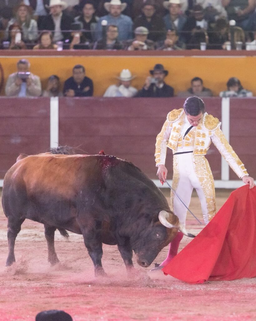 Despedida de José Luis Angelino con triunfo y corte de tres orejas en Tlaxcala (México) Celebrada ante un lleno en la plaza Jorge “El Ranchero” Aguilar. El diestro de Apizaco rubricó el último capítulo de su trayectoria como matador de toros con el corte de tres orejas y una salida a hombros, tras una tarde en la que conjugó oficio, inspiración y una entrega que encontró su mayor expresión frente a “Pulques”, de Las Huertas.