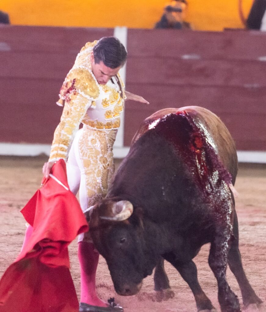 Despedida de José Luis Angelino con triunfo y corte de tres orejas en Tlaxcala (México) Celebrada ante un lleno en la plaza Jorge “El Ranchero” Aguilar. El diestro de Apizaco rubricó el último capítulo de su trayectoria como matador de toros con el corte de tres orejas y una salida a hombros, tras una tarde en la que conjugó oficio, inspiración y una entrega que encontró su mayor expresión frente a “Pulques”, de Las Huertas.