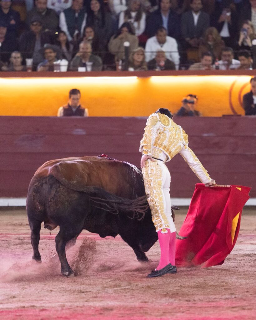 Despedida de José Luis Angelino con triunfo y corte de tres orejas en Tlaxcala (México) Celebrada ante un lleno en la plaza Jorge “El Ranchero” Aguilar. El diestro de Apizaco rubricó el último capítulo de su trayectoria como matador de toros con el corte de tres orejas y una salida a hombros, tras una tarde en la que conjugó oficio, inspiración y una entrega que encontró su mayor expresión frente a “Pulques”, de Las Huertas.