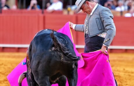 La solidaridad llena Sevilla en un gran festival a beneficio de La Estrella y Autismo Sevilla
