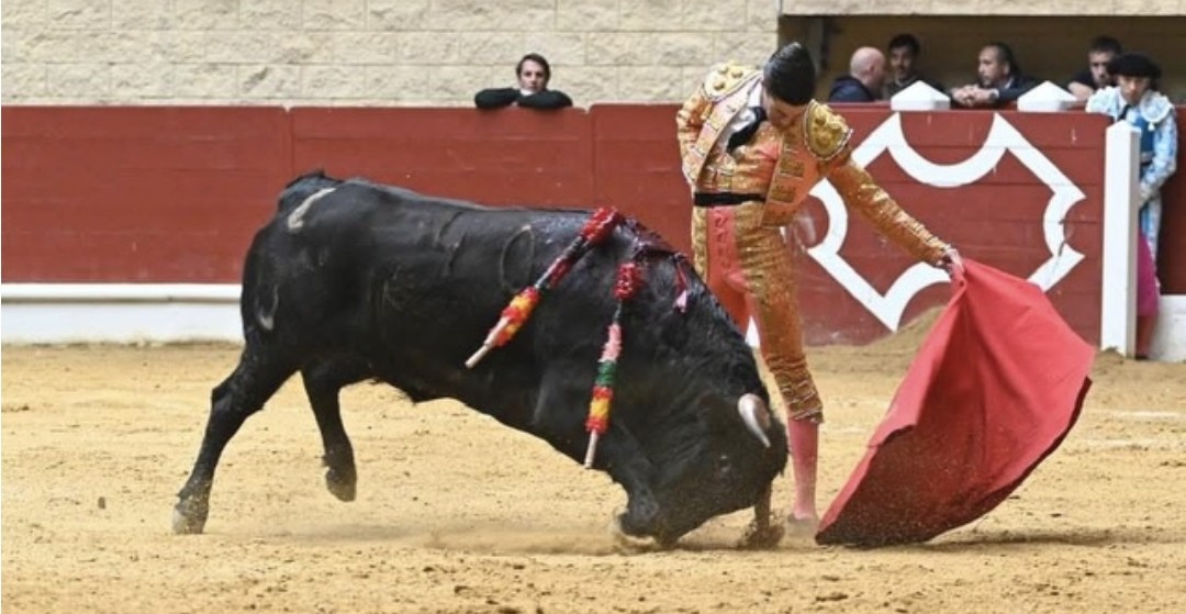 De Los Barrios al triunfo en Cortés de la Frontera. Sólido primer año con picadores de Francisco Fernández