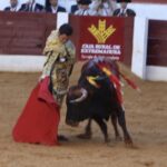 David de Miranda emborracha de torería a Zafra y sale a hombros tras indultar a Postinero Segunda de abono de la Feria Taurina de Zafra. Corrida de toros de Manuel Calejo Pires para Morante de la Puebla, Ginés Marín y David de Miranda.