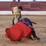 David de Miranda emborracha de torería a Zafra y sale a hombros tras indultar a Postinero Segunda de abono de la Feria Taurina de Zafra. Corrida de toros de Manuel Calejo Pires para Morante de la Puebla, Ginés Marín y David de Miranda.