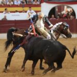 Zafra: Ventura desata la locura con un rabo en una tarde de rejones encastados Zafra abrió su abono con una corrida de rejones en la que el protagonismo terminó siendo para Diego Ventura, que volvió a demostrar por qué su nombre está ligado a las tardes grandes del rejoneo. Una actuación de enorme dimensión, coronada con el corte de los máximos trofeos en su segundo toro.