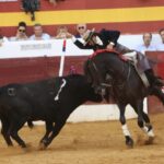 Zafra: Ventura desata la locura con un rabo en una tarde de rejones encastados Zafra abrió su abono con una corrida de rejones en la que el protagonismo terminó siendo para Diego Ventura, que volvió a demostrar por qué su nombre está ligado a las tardes grandes del rejoneo. Una actuación de enorme dimensión, coronada con el corte de los máximos trofeos en su segundo toro.