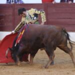 David de Miranda emborracha de torería a Zafra y sale a hombros tras indultar a Postinero Segunda de abono de la Feria Taurina de Zafra. Corrida de toros de Manuel Calejo Pires para Morante de la Puebla, Ginés Marín y David de Miranda.