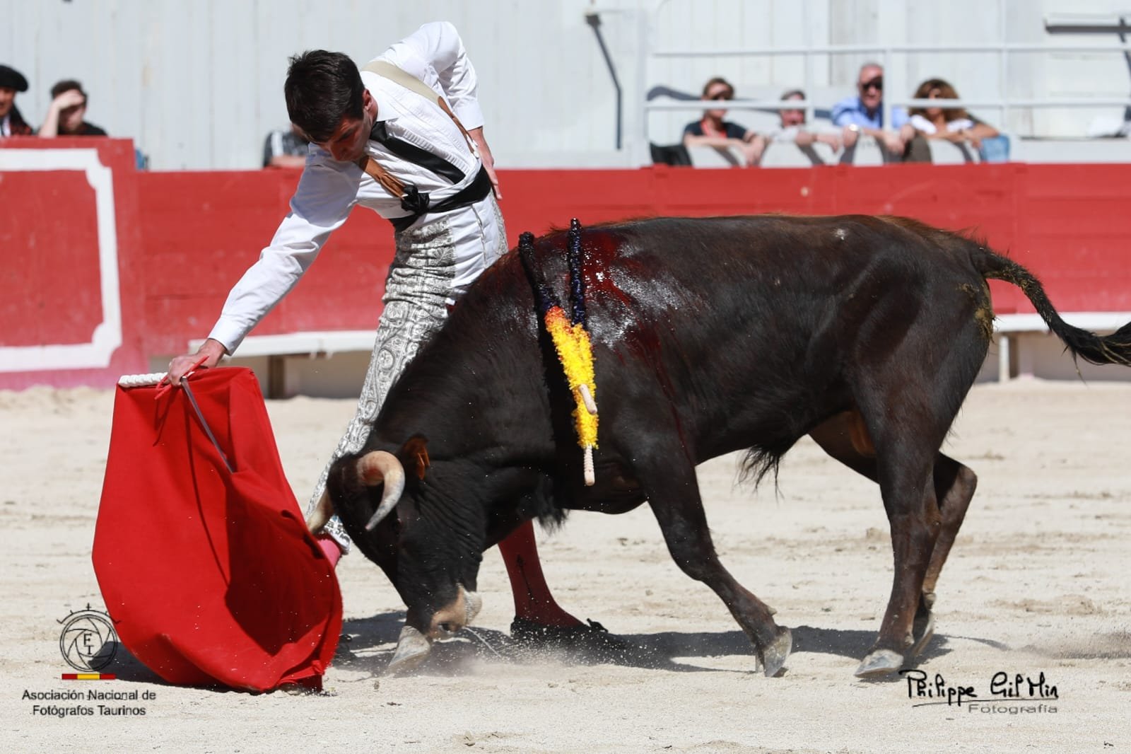 25841195 42e8 444b 8061 523e93cf64de