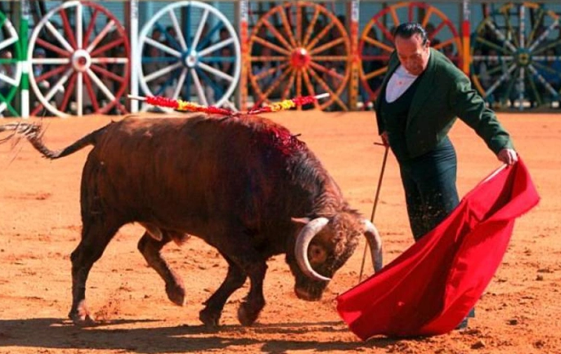 CURRO ROMERO LA ALGABA
