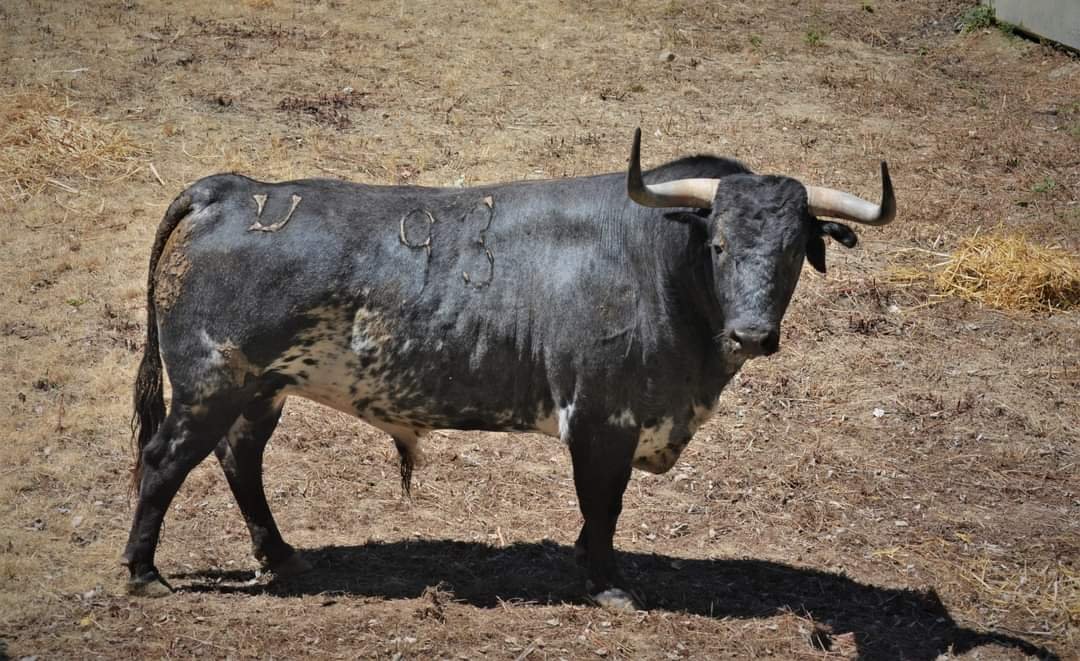 FB IMG 1656782951669