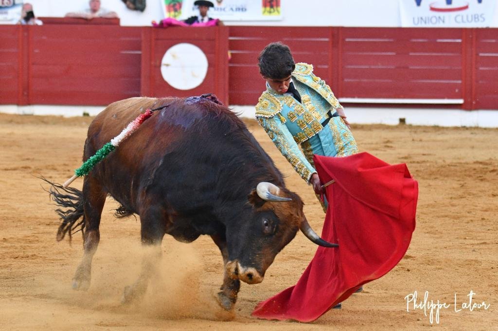 PHOTO 2022 05 09 15 50 15 10