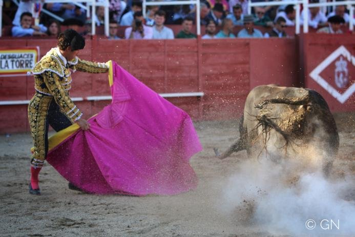 Snapseed10 693x462 1