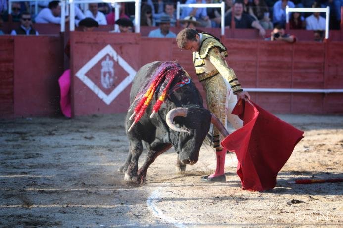 Snapseed11 693x462 1