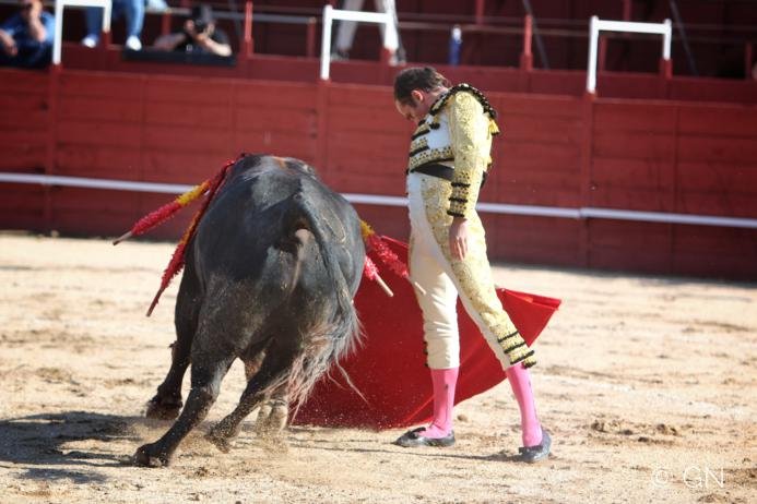 Snapseed24 693x462 1