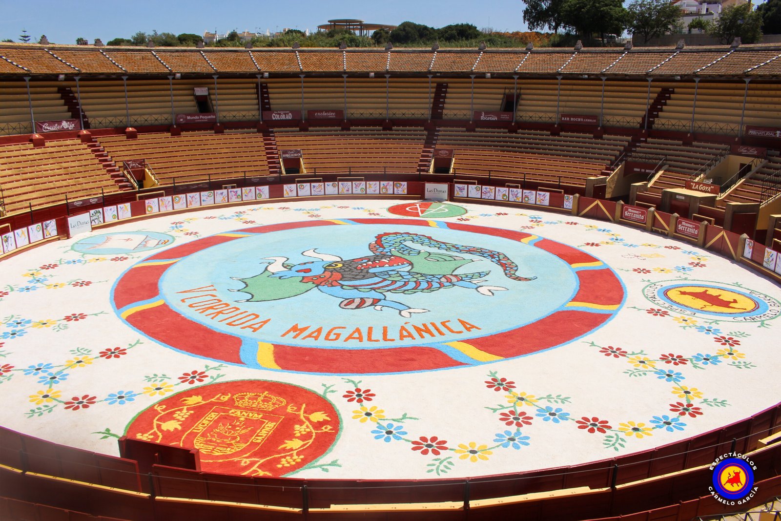 V Alfombra de Sal Magallanica scaled