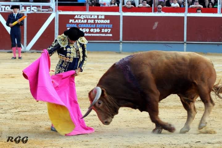 WhatsApp Image 2021 11 17 at 15.35.48