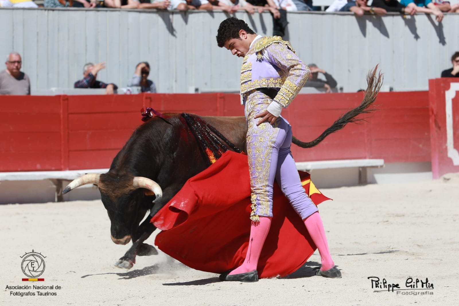 a16b0ed4 c6cf 4bd8 8647 360e0718788c 1