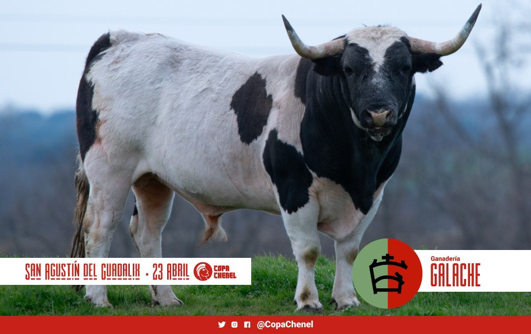 f9e46f8d 67ba 9408 561d 77b5e4868c37